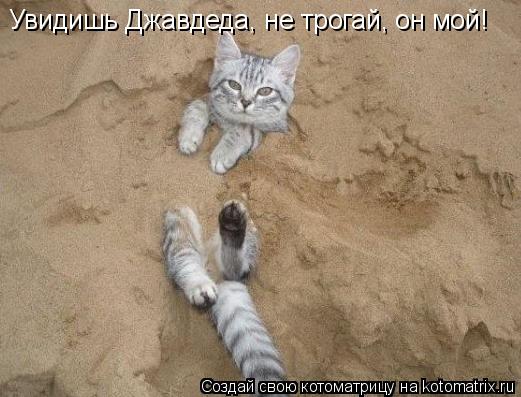 Увидишь Джавдеда, не трогай, он мой!... Котоматрица: Увидишь Джавдеда, не трогай, он мой!