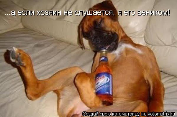 ...а если хозяин не слушается, я его веником!... Котоматрица: ...а если хозяин не слушается, я его веником!