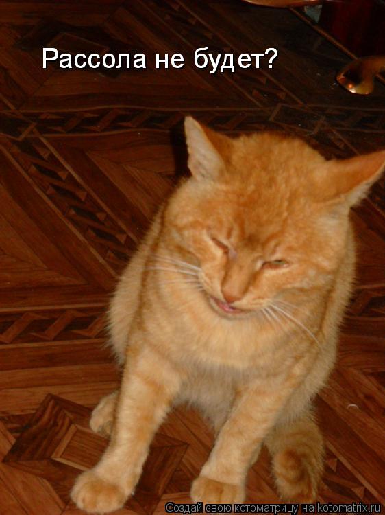 Рассола не будет? Рассола не будет?... Котоматрица: Рассола не будет? Рассола не будет?