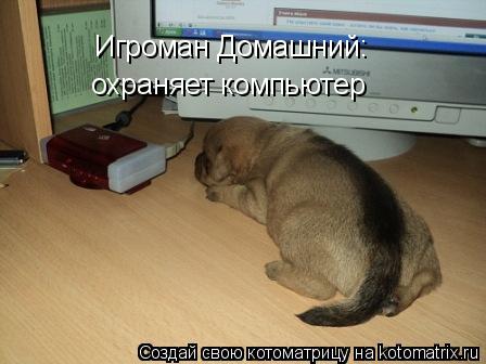Игроман Домашний: охраняет компьютер... Котоматрица: Игроман Домашний: охраняет компьютер