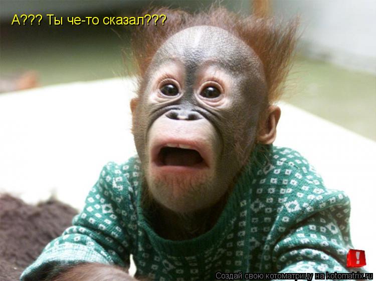 А??? Ты че-то сказал???... Котоматрица: А??? Ты че-то сказал???