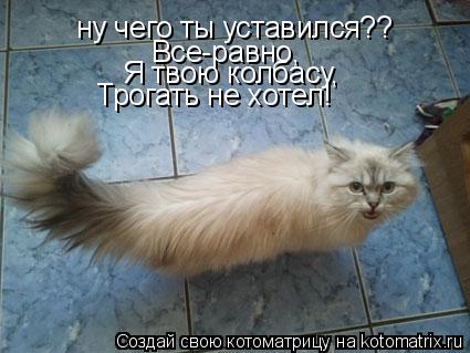 ну чего ты уставился?? Все-равно, Я твою колбасу, Я твою колбасу, Трогать не хотел!... Котоматрица: ну чего ты уставился?? Все-равно, Я твою колбасу, Я твою колбасу, Трогать не хотел!