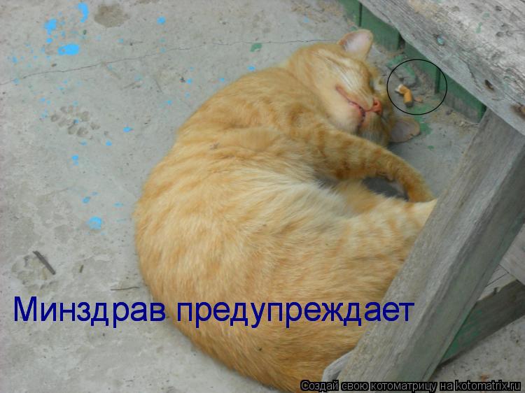 Минздрав предупреждает Минздрав предупреждает... Котоматрица: Минздрав предупреждает Минздрав предупреждает