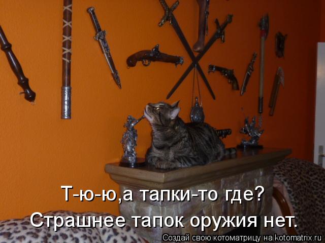 Т-ю-ю,а тапки-то где? Страшнее тапок оружия нет.... Котоматрица: Т-ю-ю,а тапки-то где? Страшнее тапок оружия нет.