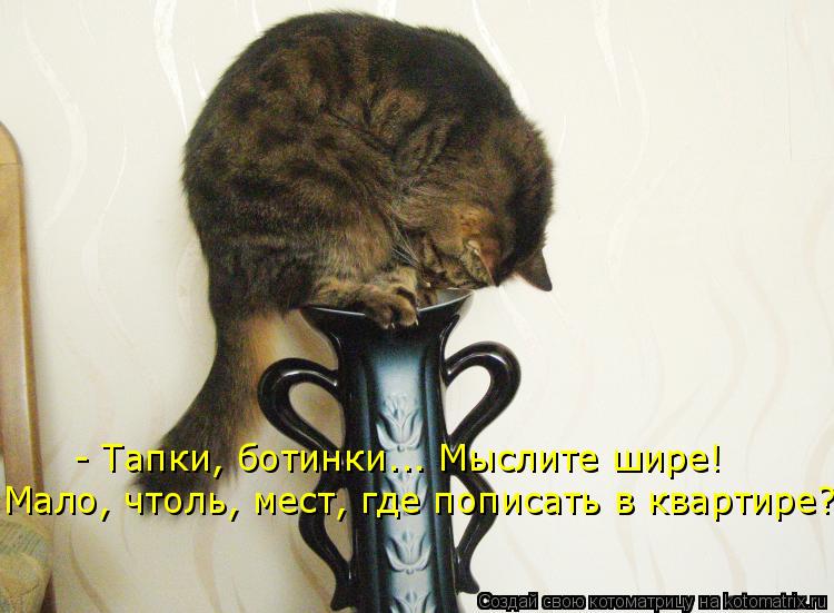- Тапки, ботинки... Мыслите шире! Мало, чтоль, мест, где пописать в квартире?... Котоматрица: - Тапки, ботинки... Мыслите шире! Мало, чтоль, мест, где пописать в квартире?