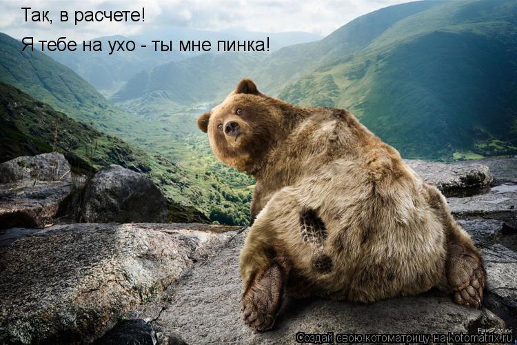 Так, в расчете! Я тебе на ухо - ты мне пинка!... Котоматрица: Так, в расчете! Я тебе на ухо - ты мне пинка!