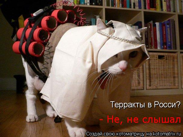 Терракты в Росси? - Не, не слышал... Котоматрица: Терракты в Росси? - Не, не слышал