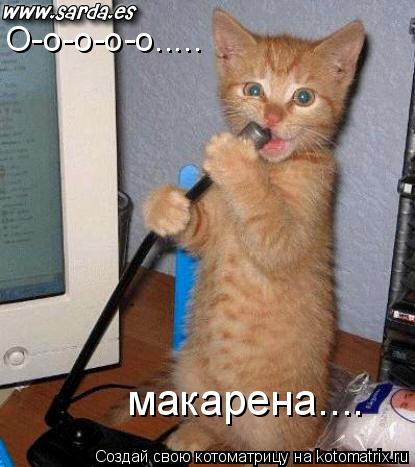 О-о-о-о-о..... макарена....... Котоматрица: О-о-о-о-о..... макарена....