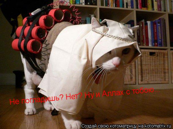 Не погладишь? Нет? Ну и Аллах с тобою...... Котоматрица: Не погладишь? Нет? Ну и Аллах с тобою...