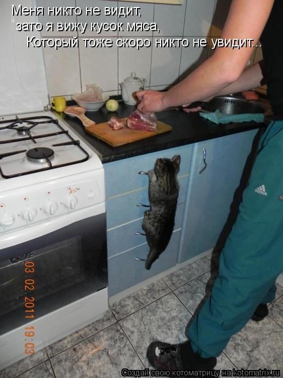 Меня никто не видит, зато я вижу кусок мяса, Который тоже скоро никто не увидит...... Котоматрица: Меня никто не видит, зато я вижу кусок мяса, Который тоже скоро никто не увидит...