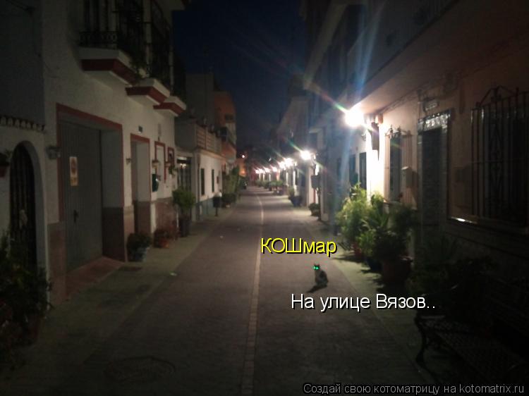 КОШмар На улице Вязов..... Котоматрица: КОШмар На улице Вязов..