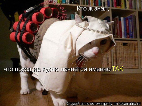 Кто ж знал, что поход на кухню начнётся именно ТАК... Котоматрица: Кто ж знал, что поход на кухню начнётся именно ТАК