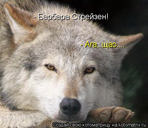 - Барбара Стрейзен! - Ага, щас....... Котоматрица: - Барбара Стрейзен! - Ага, щас....