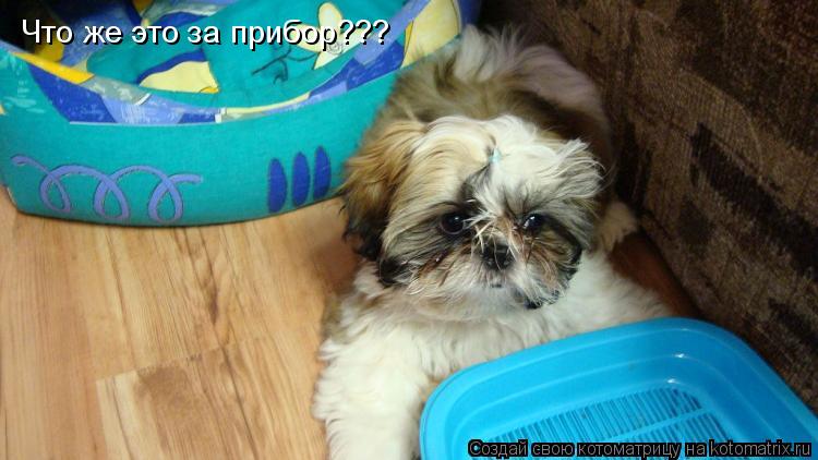 Что же это за прибор???... Котоматрица: Что же это за прибор???