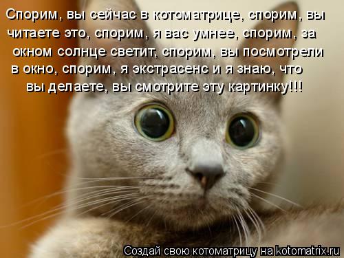 Спорим, вы сейчас в котоматрице, спорим, вы читаете это, спорим, я вас умнее, спорим, за окном солн... Котоматрица: Спорим, вы сейчас в котоматрице, спорим, вы читаете это, спорим, я вас умнее, спорим, за окном солнце светит, спорим, вы посмотрели в окно, спо