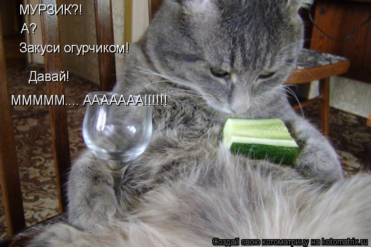 МУРЗИК?! А? Закуси огурчиком! Давай! МММММ.... ААААААА!!!!!!... Котоматрица: МУРЗИК?! А? Закуси огурчиком! Давай! МММММ.... ААААААА!!!!!!