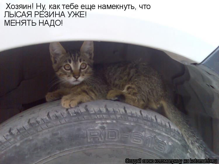 Хозяин! Ну, как тебе еще намекнуть, что ЛЫСАЯ РЕЗИНА УЖЕ! МЕНЯТЬ НАДО!... Котоматрица: Хозяин! Ну, как тебе еще намекнуть, что ЛЫСАЯ РЕЗИНА УЖЕ! МЕНЯТЬ НАДО!