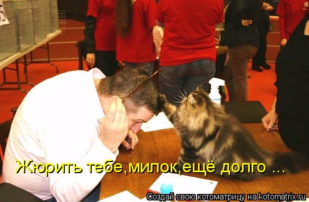 Жюрить тебе,милок,ещё долго ...... Котоматрица: Жюрить тебе,милок,ещё долго ...