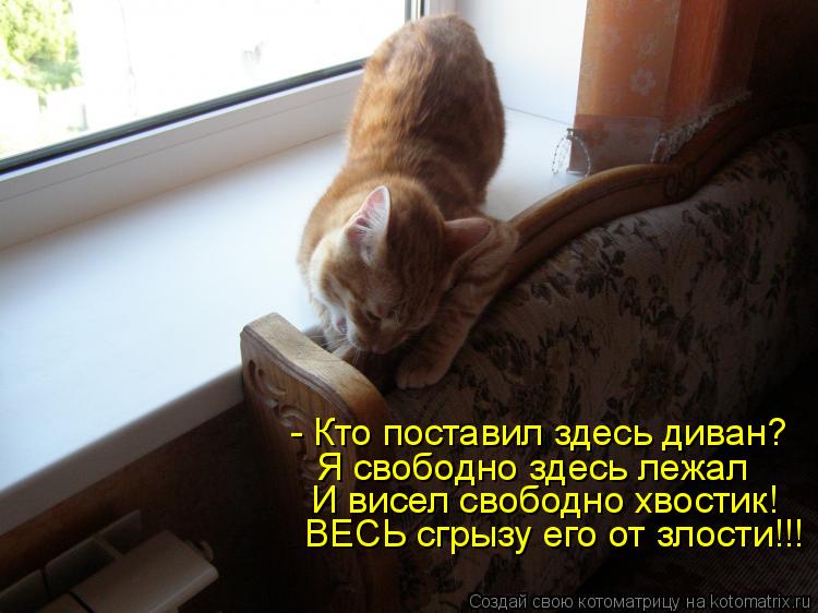 - Кто поставил здесь диван? Я свободно здесь лежал И висел свободно хвостик! ВЕСЬ сгрызу его от злост... Котоматрица: - Кто поставил здесь диван? Я свободно здесь лежал И висел свободно хвостик! ВЕСЬ сгрызу его от злости!!!
