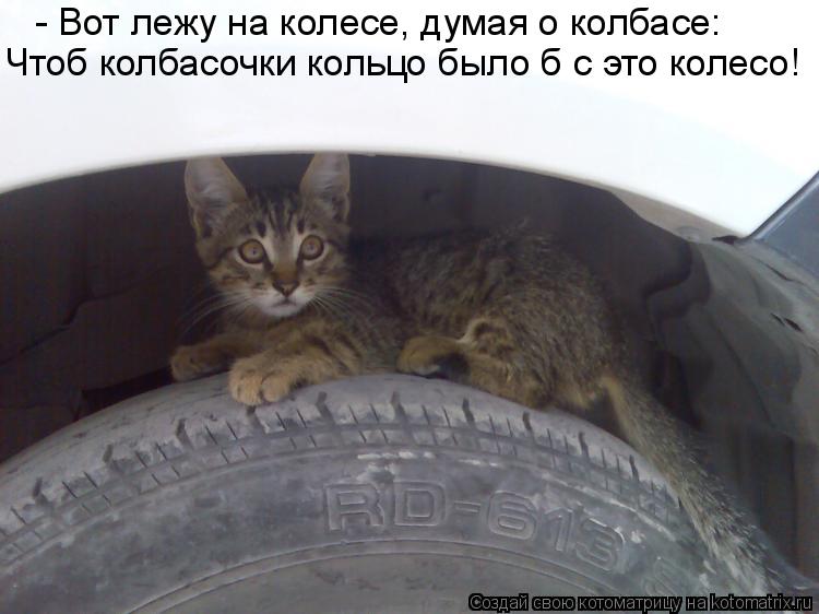 - Вот лежу на колесе, думая о колбасе: Чтоб колбасочки кольцо было б с это колесо!... Котоматрица: - Вот лежу на колесе, думая о колбасе: Чтоб колбасочки кольцо было б с это колесо!