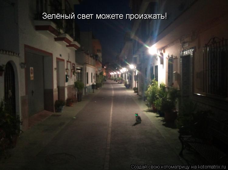 Зелёный свет можете произжать!... Котоматрица: Зелёный свет можете произжать!