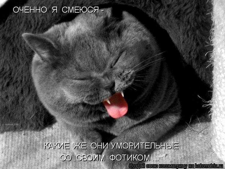 ОЧЕННО Я СМЕЮСЯ - СО СВОИМ ФОТИКОМ ... КАКИЕ ЖЕ ОНИ УМОРИТЕЛЬНЫЕ... Котоматрица: ОЧЕННО Я СМЕЮСЯ - СО СВОИМ ФОТИКОМ ... КАКИЕ ЖЕ ОНИ УМОРИТЕЛЬНЫЕ