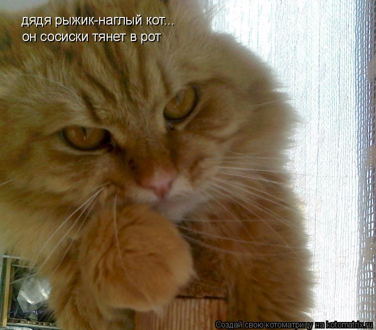 дядя рыжик-наглый кот... он сосиски тянет в рот... Котоматрица: дядя рыжик-наглый кот... он сосиски тянет в рот