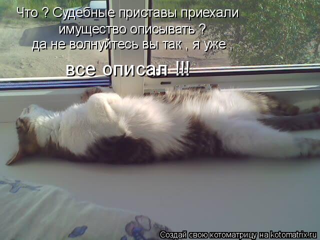 Что ? Судебные приставы приехали имущество описывать ? да не волнуйтесь вы так , я уже , все описал !... Котоматрица: Что ? Судебные приставы приехали имущество описывать ? да не волнуйтесь вы так , я уже , все описал !!!