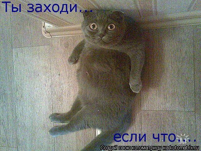 Ты заходи... если что....... Котоматрица: Ты заходи... если что....
