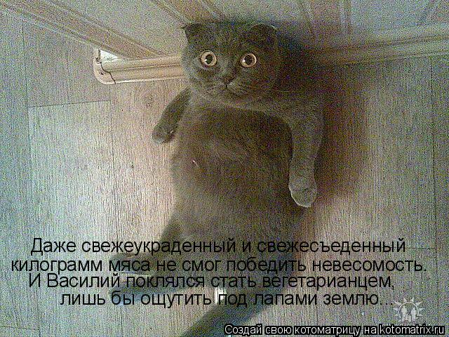 Даже свежеукраденный и свежесъеденный килограмм мяса не смог победить невесомость. И Василий поклялся... Котоматрица: Даже свежеукраденный и свежесъеденный килограмм мяса не смог победить невесомость. И Василий поклялся стать вегетарианцем, лишь бы ощутит