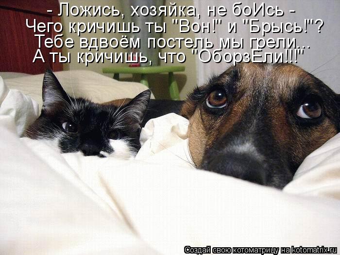 - Ложись, хозяйка, не боИсь - Чего кричишь ты "Вон!" и "Брысь!"? Тебе вдвоём постель мы грели... А т... Котоматрица: - Ложись, хозяйка, не боИсь - Чего кричишь ты "Вон!" и "Брысь!"? Тебе вдвоём постель мы грели... А ты кричишь, что "ОборзЕли!!!"
