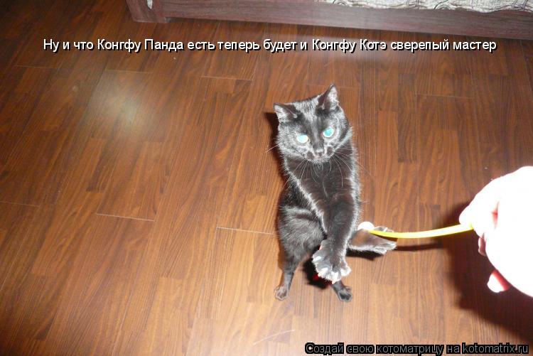 Ну и что Конгфу Панда есть теперь будет и Конгфу Котэ сверепый мастер... Котоматрица: Ну и что Конгфу Панда есть теперь будет и Конгфу Котэ сверепый мастер