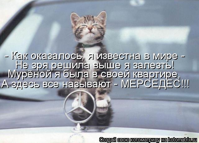 - Как оказалось, я известна в мире - Не зря решила выше я залезть! Мурёной я была в своей квартире, ... Котоматрица: - Как оказалось, я известна в мире - Не зря решила выше я залезть! Мурёной я была в своей квартире, А здесь все называют - МЕРСЕДЕС!!!