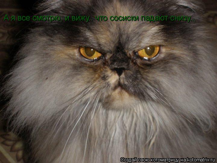 А я все смотрю, и вижу.. что сосиски падают снизу...... Котоматрица: А я все смотрю, и вижу.. что сосиски падают снизу...
