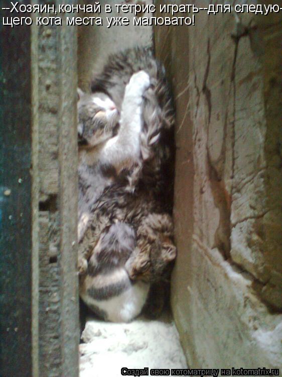 --Хозяин,кончай в тетрис играть--для следую- щего кота места уже маловато!... Котоматрица: --Хозяин,кончай в тетрис играть--для следую- щего кота места уже маловато!