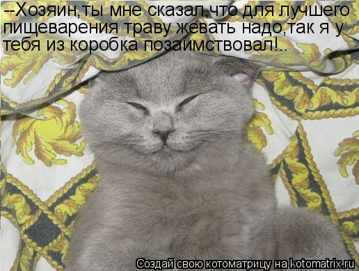 --Хозяин,ты мне сказал,что для лучшего пищеварения траву жевать надо,так я у тебя из коробка позаимст... Котоматрица: --Хозяин,ты мне сказал,что для лучшего пищеварения траву жевать надо,так я у тебя из коробка позаимствовал!..
