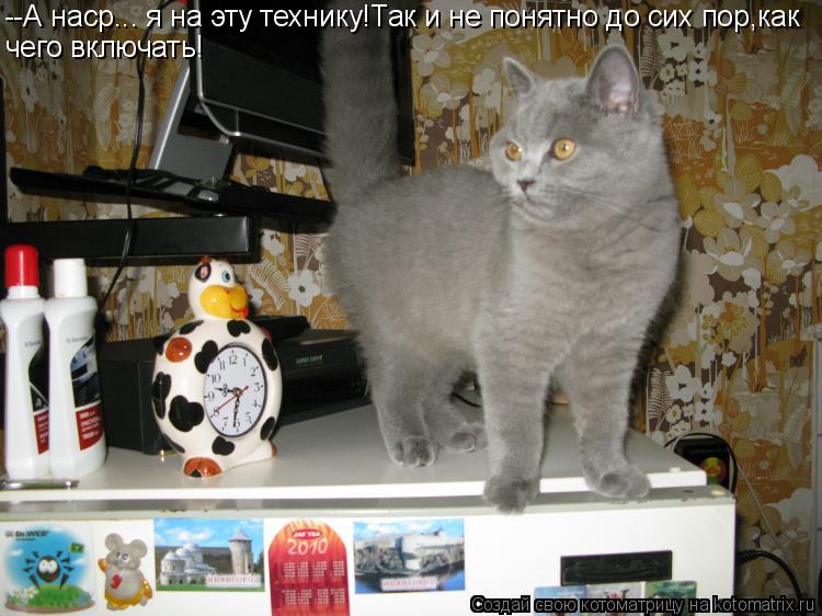 --А наср... я на эту технику!Так и не понятно до сих пор,как чего включать!... Котоматрица: --А наср... я на эту технику!Так и не понятно до сих пор,как чего включать!