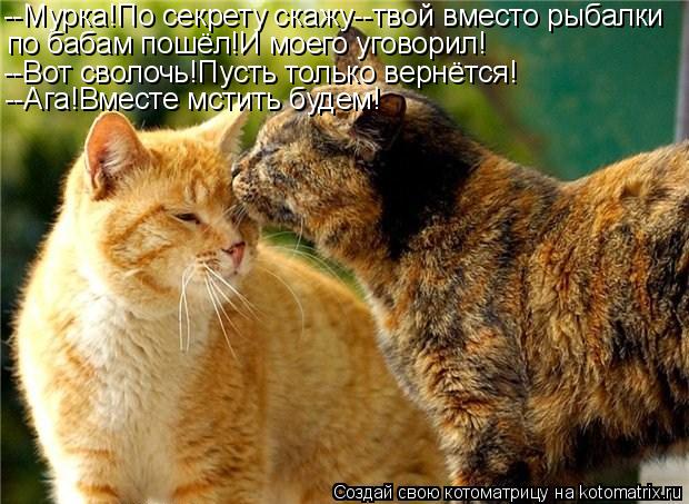 --Мурка!По секрету скажу--твой вместо рыбалки по бабам пошёл!И моего уговорил! --Вот сволочь!Пусть то... Котоматрица: --Мурка!По секрету скажу--твой вместо рыбалки по бабам пошёл!И моего уговорил! --Вот сволочь!Пусть только вернётся! --Ага!Вместе мстить будем!