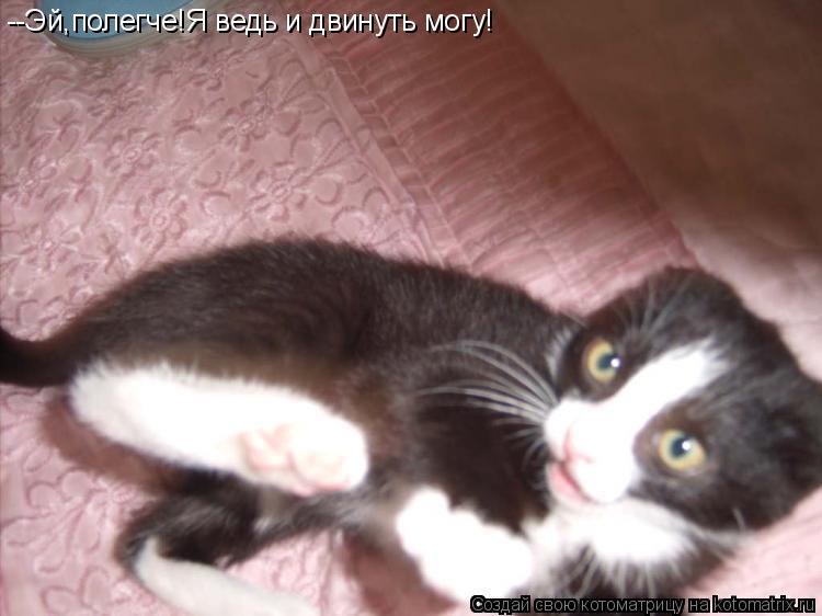 --Эй,полегче!Я ведь и двинуть могу!... Котоматрица: --Эй,полегче!Я ведь и двинуть могу!