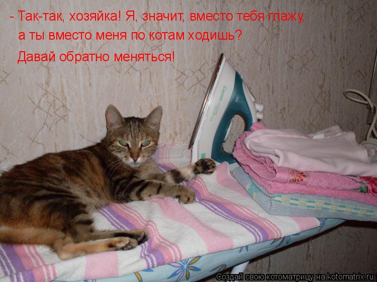 - Так-так, хозяйка! Я, значит, вместо тебя глажу, а ты вместо меня по котам ходишь? Давай обратно мен... Котоматрица: - Так-так, хозяйка! Я, значит, вместо тебя глажу, а ты вместо меня по котам ходишь? Давай обратно меняться!