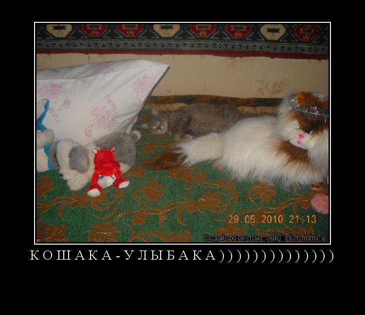 КОШАКА-УЛЫБАКА)))))))))))))) ... Котоматрица: КОШАКА-УЛЫБАКА))))))))))))))