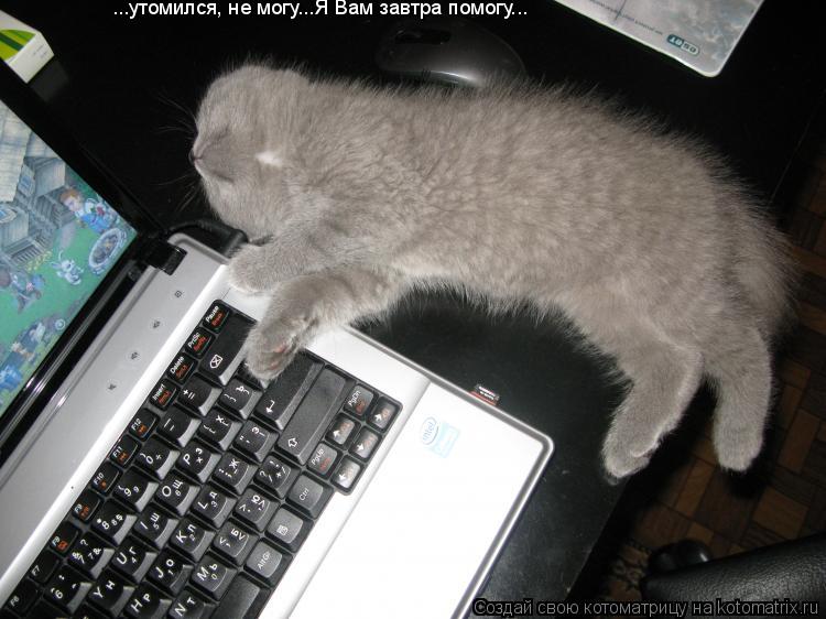 ...утомился, не могу...Я Вам завтра помогу...... Котоматрица: ...утомился, не могу...Я Вам завтра помогу...
