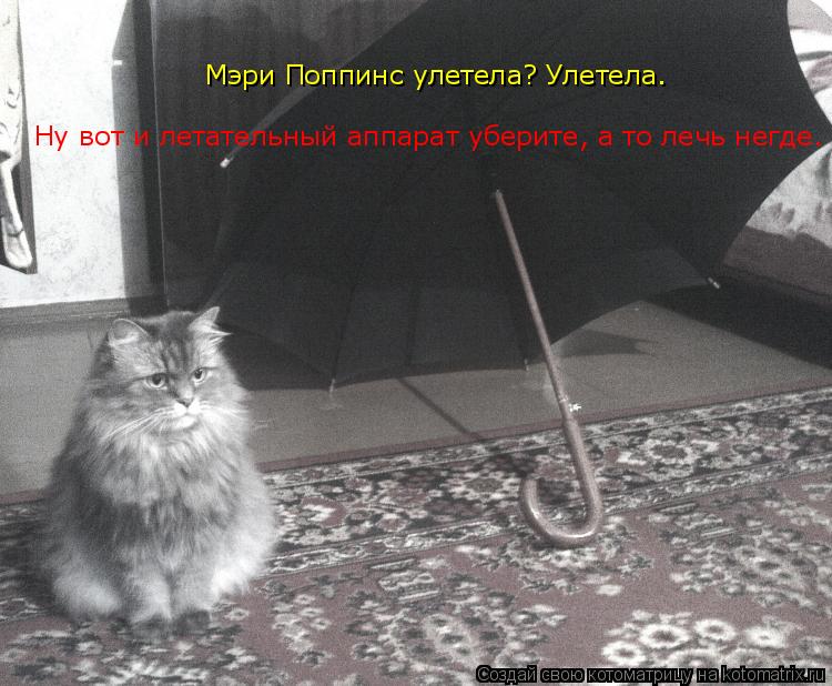 Мэри Поппинс улетела? Улетела. Ну вот летательный аппарат уберите, а то лечь негде. Мэри Поппинс улет... Котоматрица: Мэри Поппинс улетела? Улетела. Ну вот летательный аппарат уберите, а то лечь негде. Мэри Поппинс улетела? Улетела. Ну вот и летательный аппа