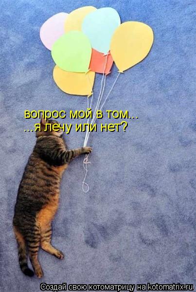 вопрос мой в том... ...я лечу или нет?... Котоматрица: вопрос мой в том... ...я лечу или нет?