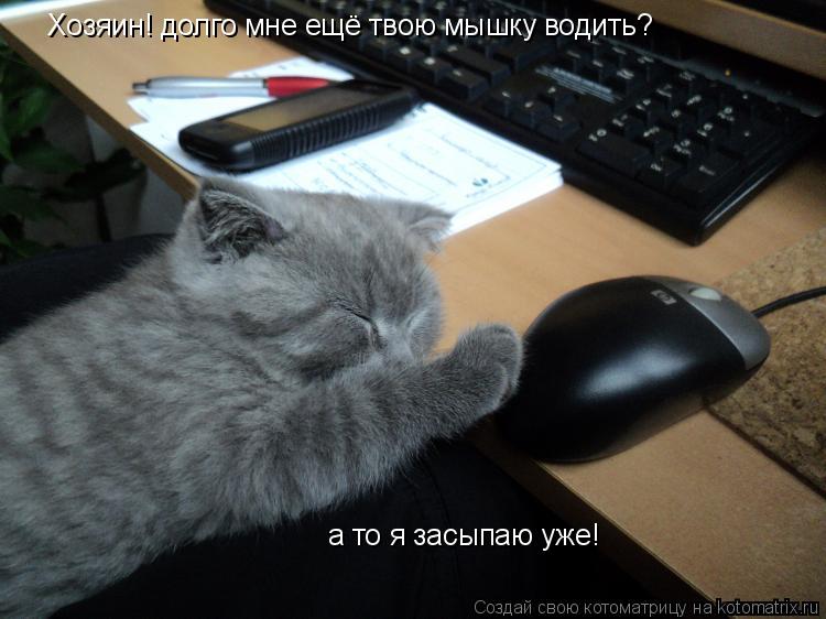 Хозяин! долго мне ещё твою мышку водить? а то я засыпаю уже!... Котоматрица: Хозяин! долго мне ещё твою мышку водить? а то я засыпаю уже!