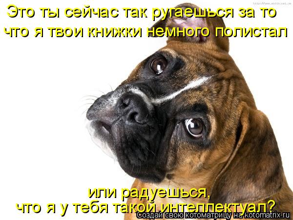 Это ты сейчас так ругаешься за то что я твои книжки немного полистал что я у тебя такой интеллектуа... Котоматрица: Это ты сейчас так ругаешься за то что я твои книжки немного полистал что я у тебя такой интеллектуал? или радуешься,