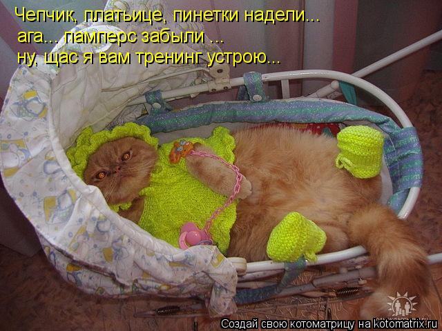 Чепчик, платьице, пинетки надели... ага... памперс забыли ... ну, щас я вам тренинг устрою...... Котоматрица: Чепчик, платьице, пинетки надели... ага... памперс забыли ... ну, щас я вам тренинг устрою...