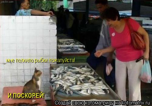 мне полкило рыбки пожалуйста! И ПОСКОРЕЙ!... Котоматрица: мне полкило рыбки пожалуйста! И ПОСКОРЕЙ!