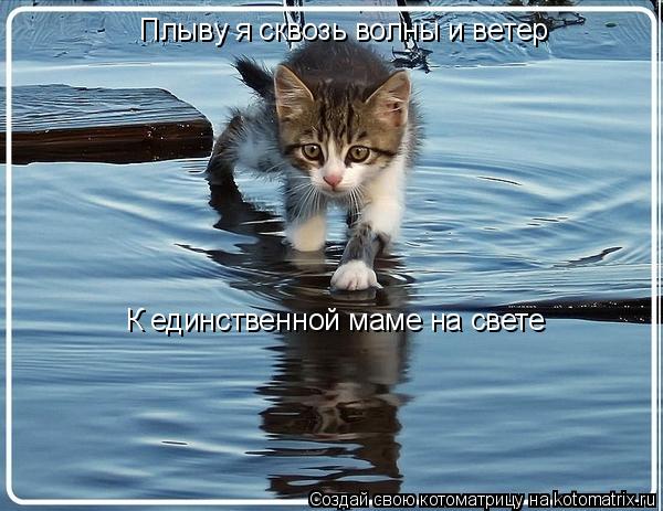 Плыву я сквозь волны и ветер К единственной маме на свете... Котоматрица: Плыву я сквозь волны и ветер К единственной маме на свете