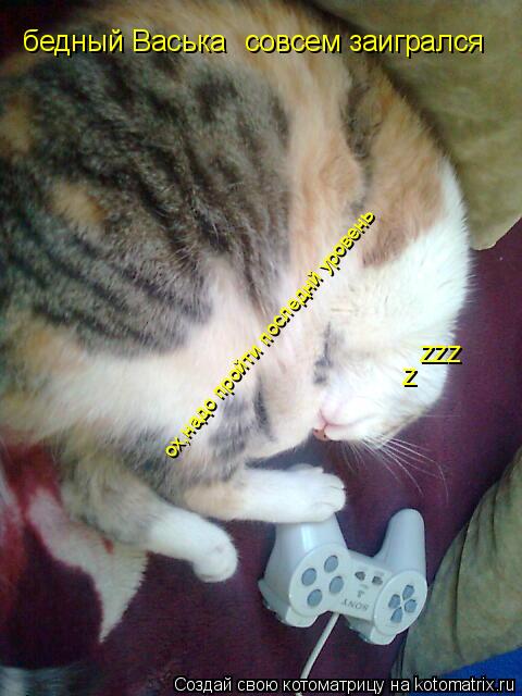 бедный Васька совсем заигрался zzz z ох,надо пройти последнй уровень... Котоматрица: бедный Васька совсем заигрался zzz z ох,надо пройти последнй уровень